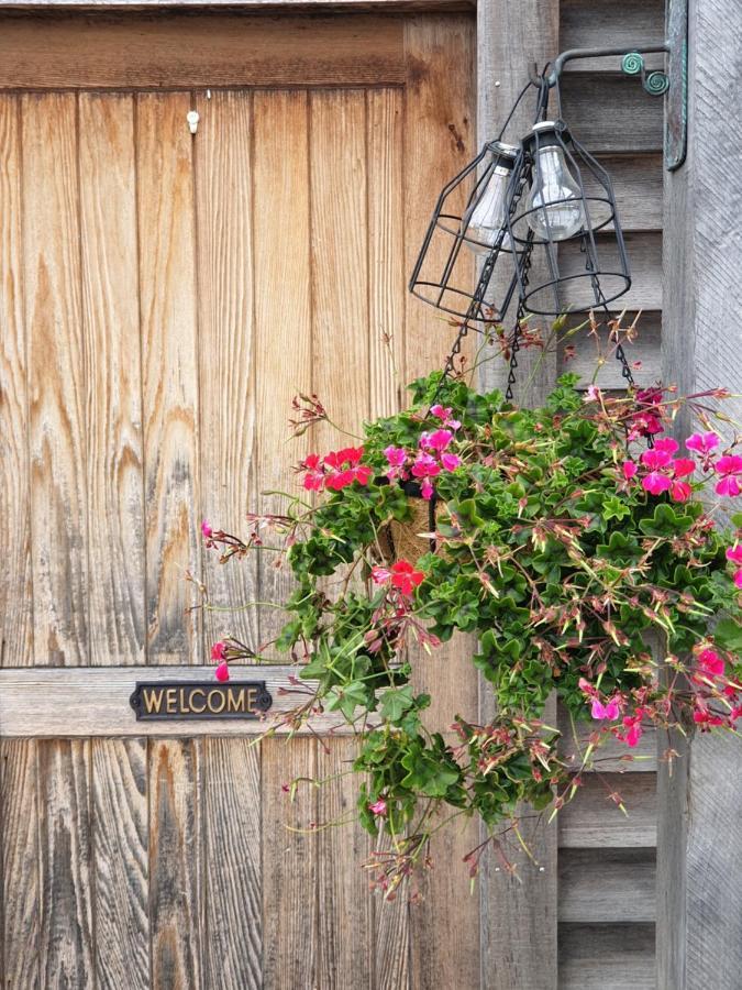 Ddog Vineyard & Bnb Renwick Екстериор снимка