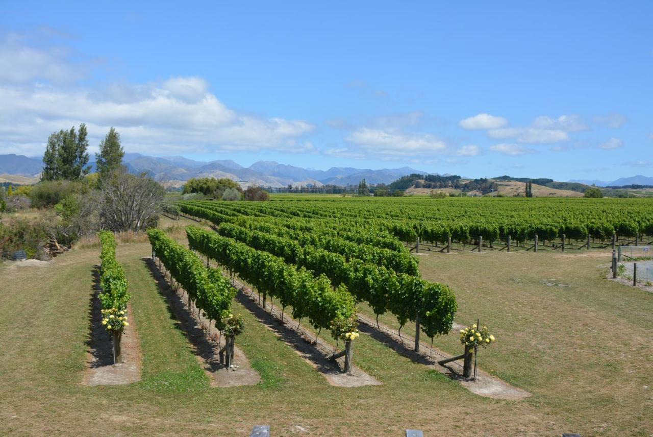 Ddog Vineyard & Bnb Renwick Екстериор снимка