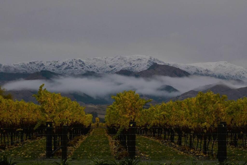 Ddog Vineyard & Bnb Renwick Екстериор снимка