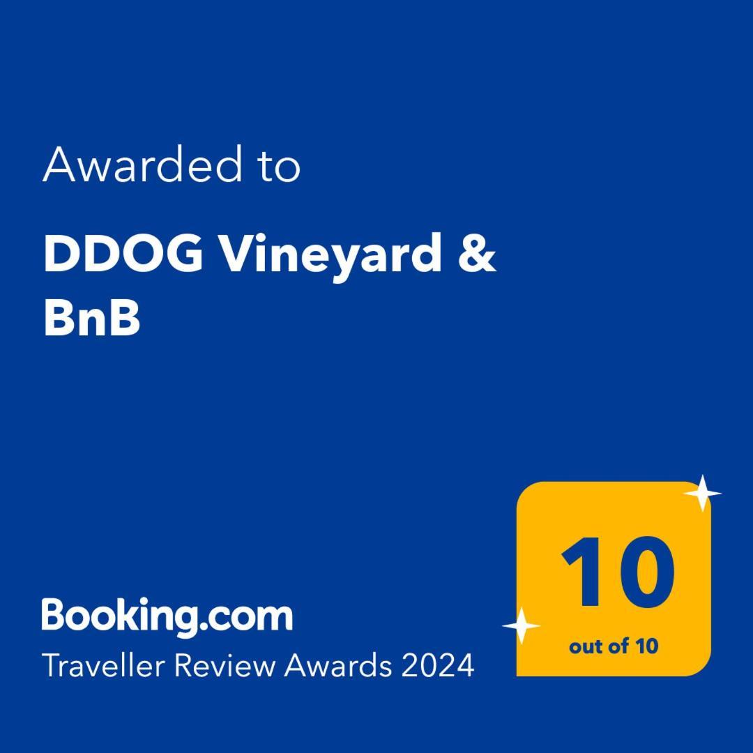 Ddog Vineyard & Bnb Renwick Екстериор снимка