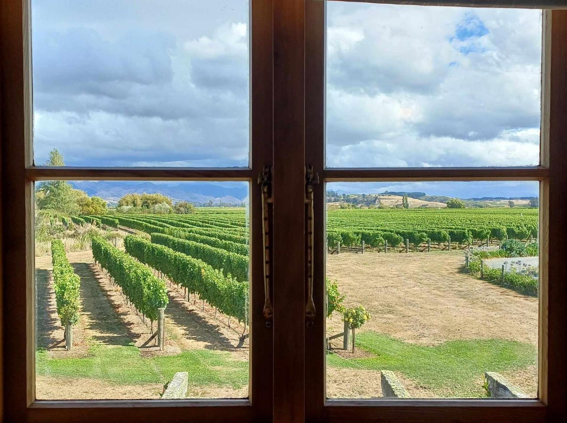Ddog Vineyard & Bnb Renwick Екстериор снимка